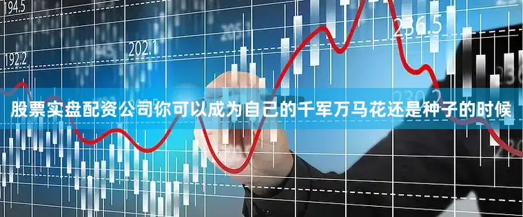 股票实盘配资公司你可以成为自己的千军万马花还是种子的时候